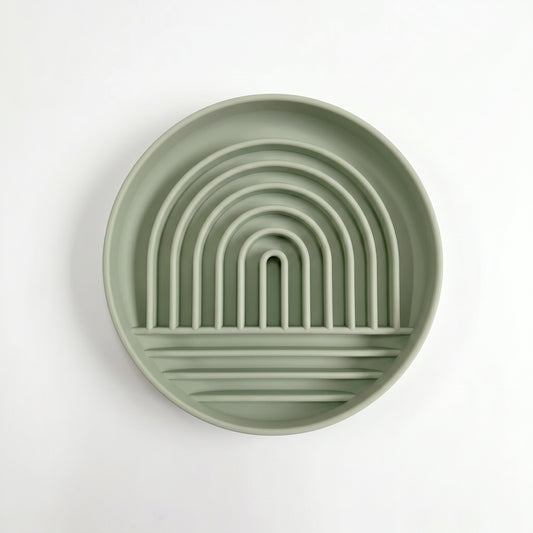 Rainbow Slow Feeder Bowl