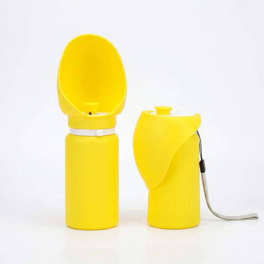 Portable Leaf Water Bottle